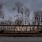 Railraod car with graffiti on track in front of winter trees and dark sky